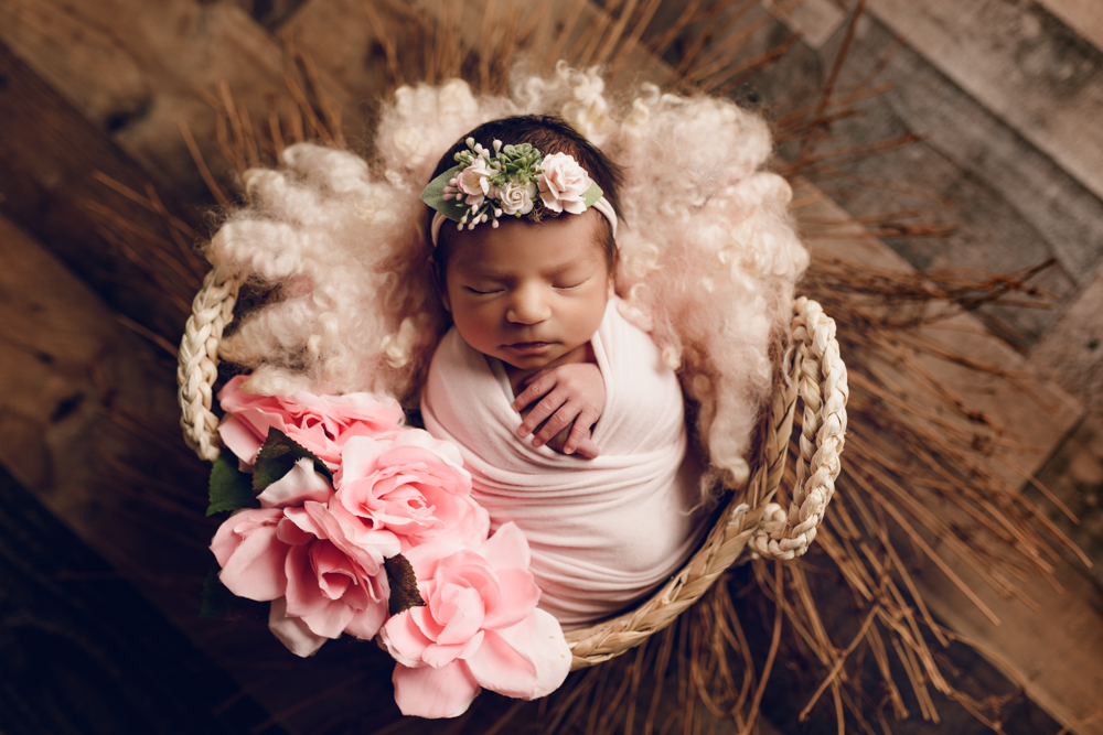 Newborn baby girl in pink in a basket during a newborn photography session